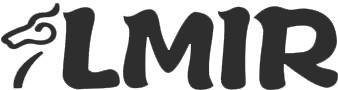 LMIR logo